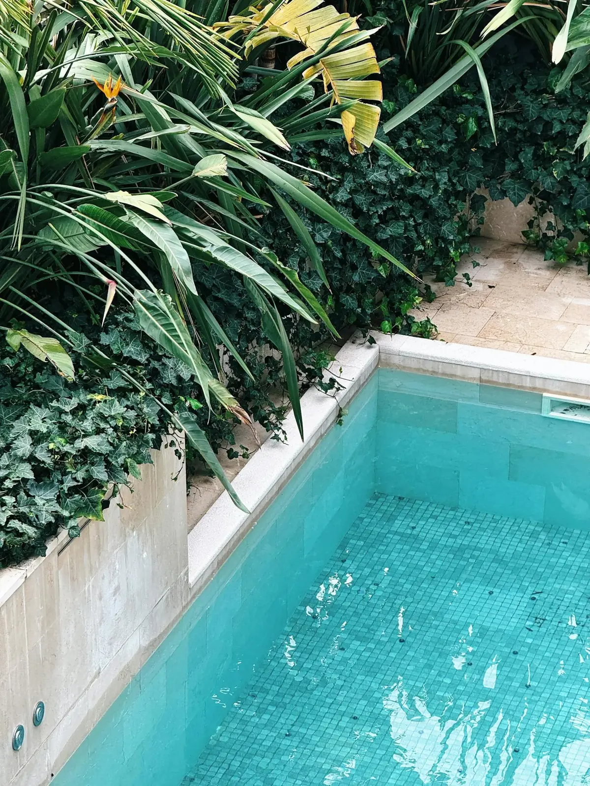 Inground garden pool with turquoise mosaic tiles and lush tropical planting limestone coping