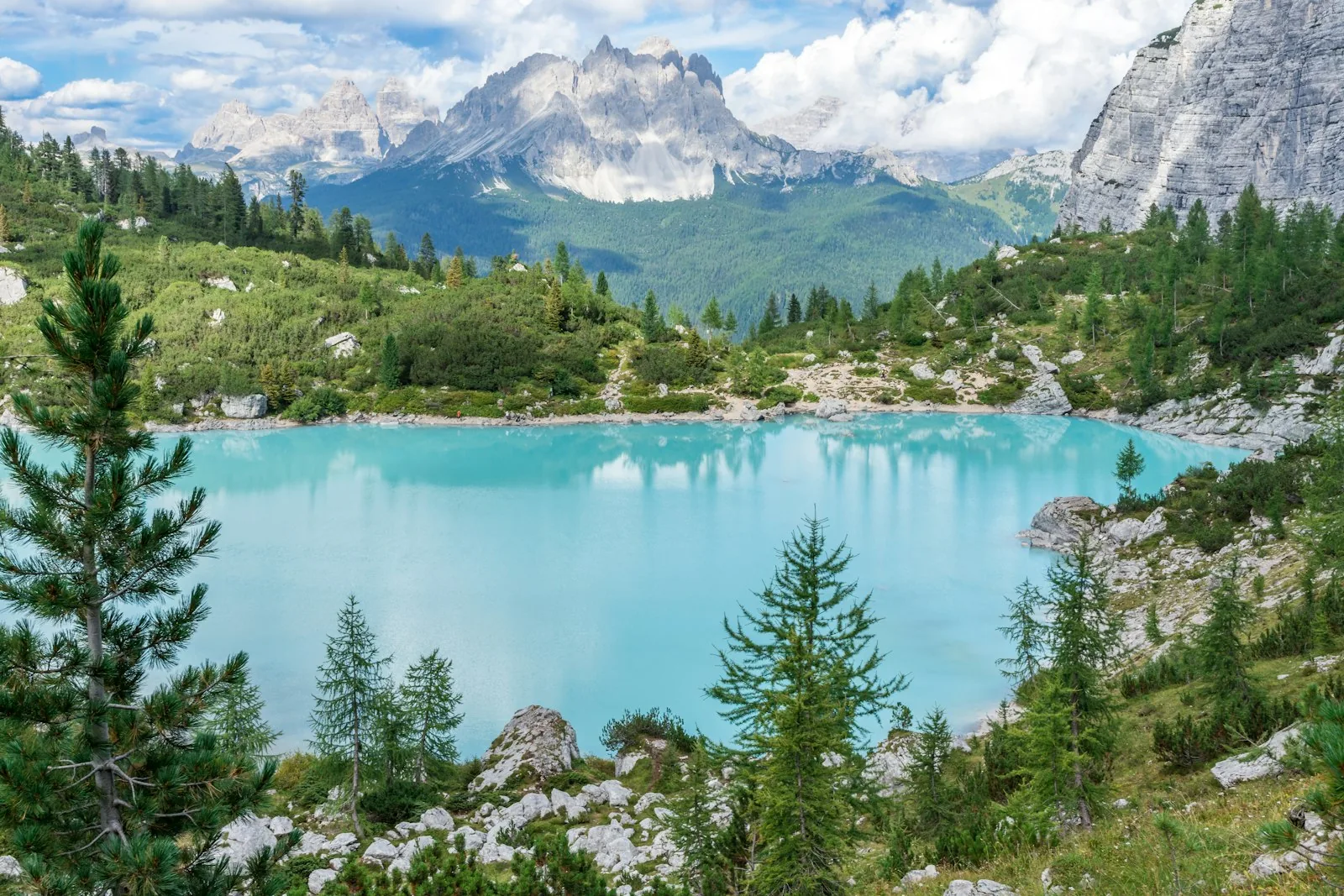 A vivid turquoise blue natural pool surrounded by heathland and pine trees in Dorset