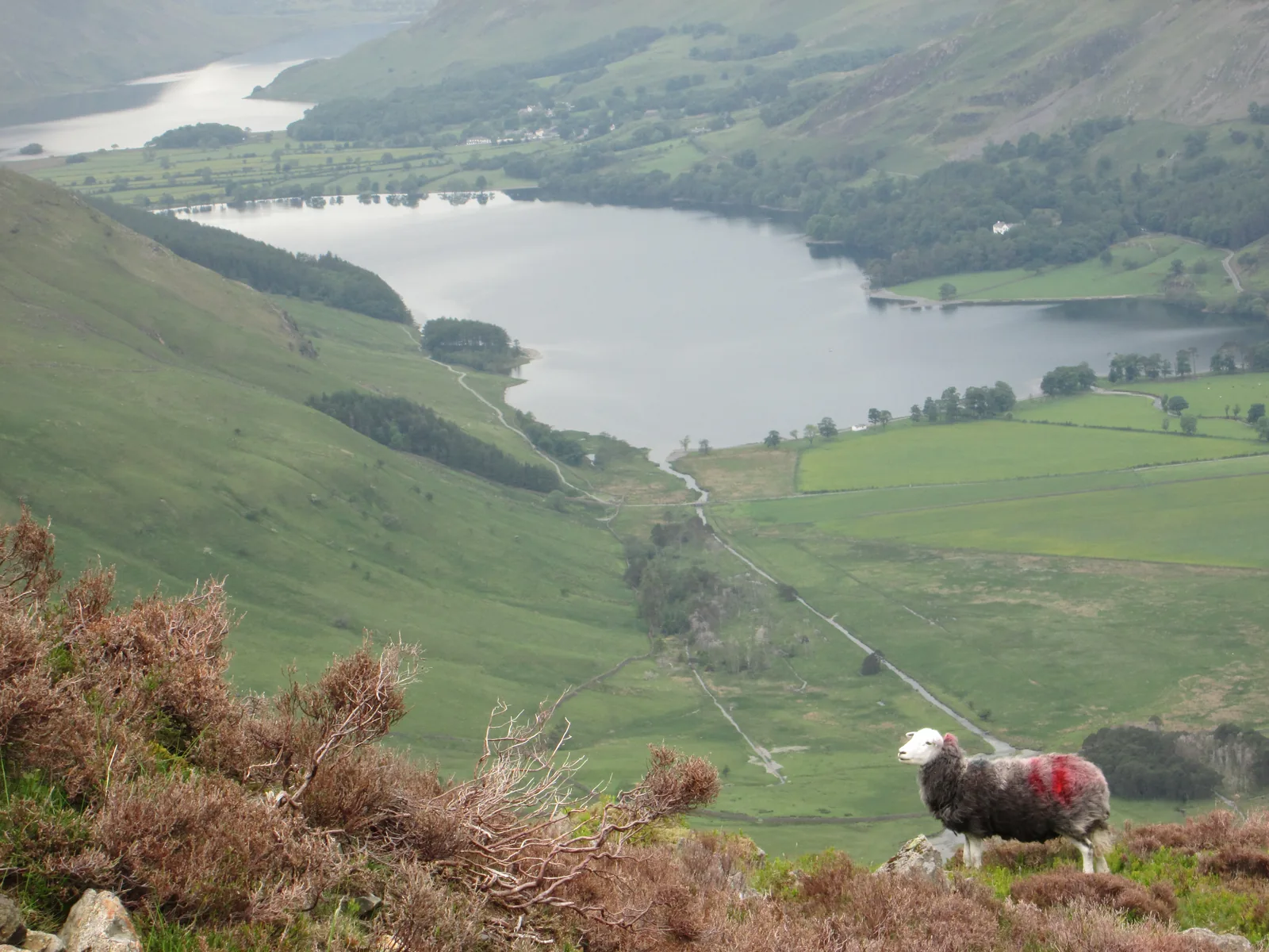 Aerial view of Buttermere lake from the fells above, showing the valley landscape visible from the infinity pool