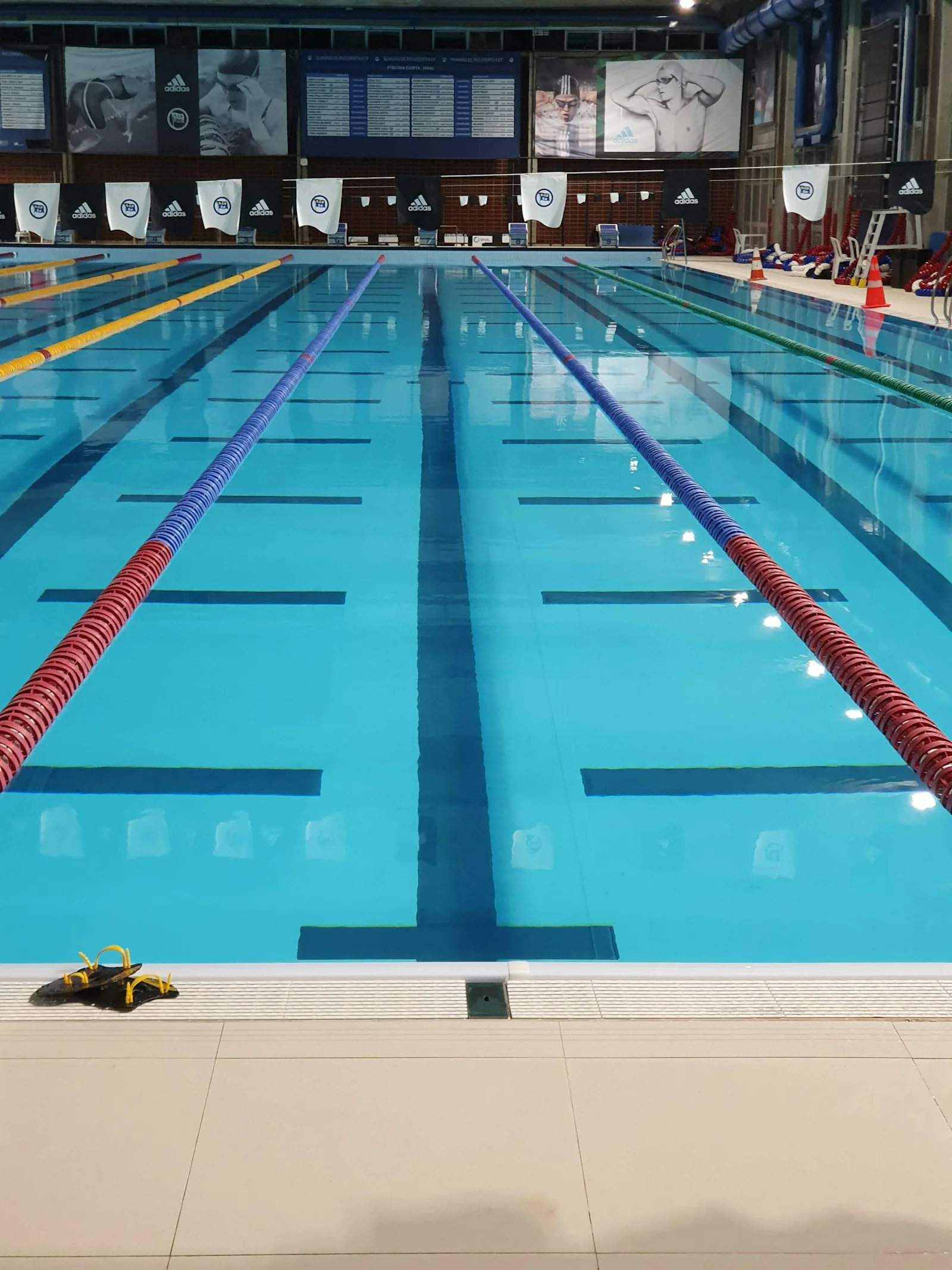 Empty indoor competition swimming pool with colourful lane dividers and pool equipment, representing pool structural components that can corrode in saltwater systems