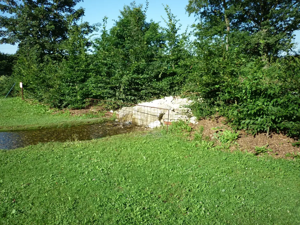 Biological filtration zone with rocks and aquatic vegetation at a natural swimming pool