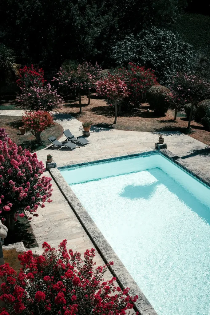 A sunlit rectangular inground swimming pool with stone coping surrounded by flowering trees and garden planting
