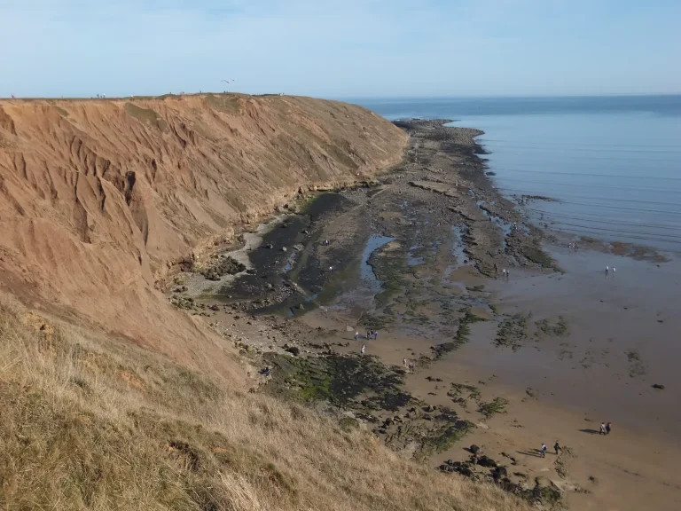 Filey Brigg Rock Pools: Complete Guide to Yorkshire’s Jurassic Coast