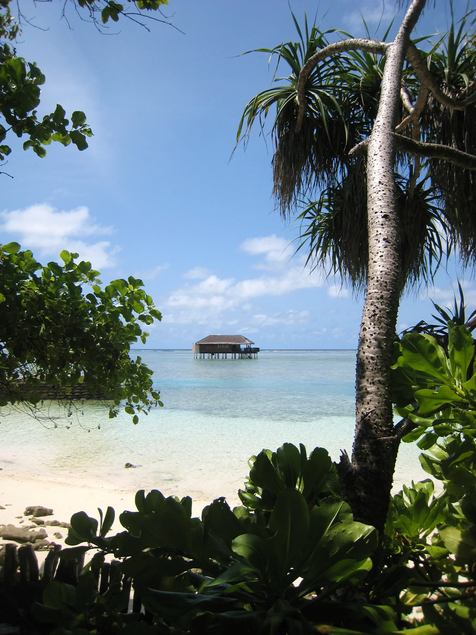 Overwater villa bungalow with private pool over turquoise Maldives lagoon