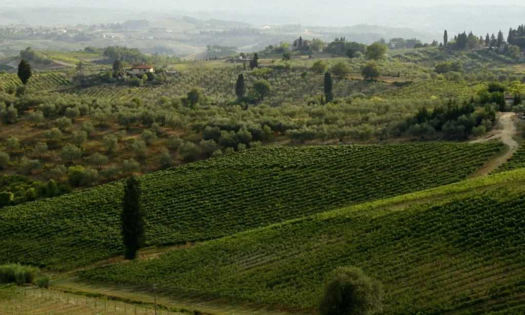 Rolling Tuscan hills and vineyard landscape for Italian villa holidays