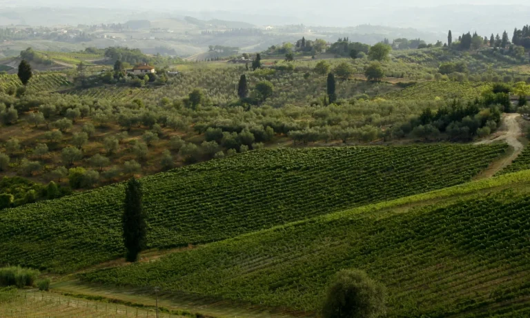 Italian Holiday Villas with Pools: Best Regions, Prices and When to Book