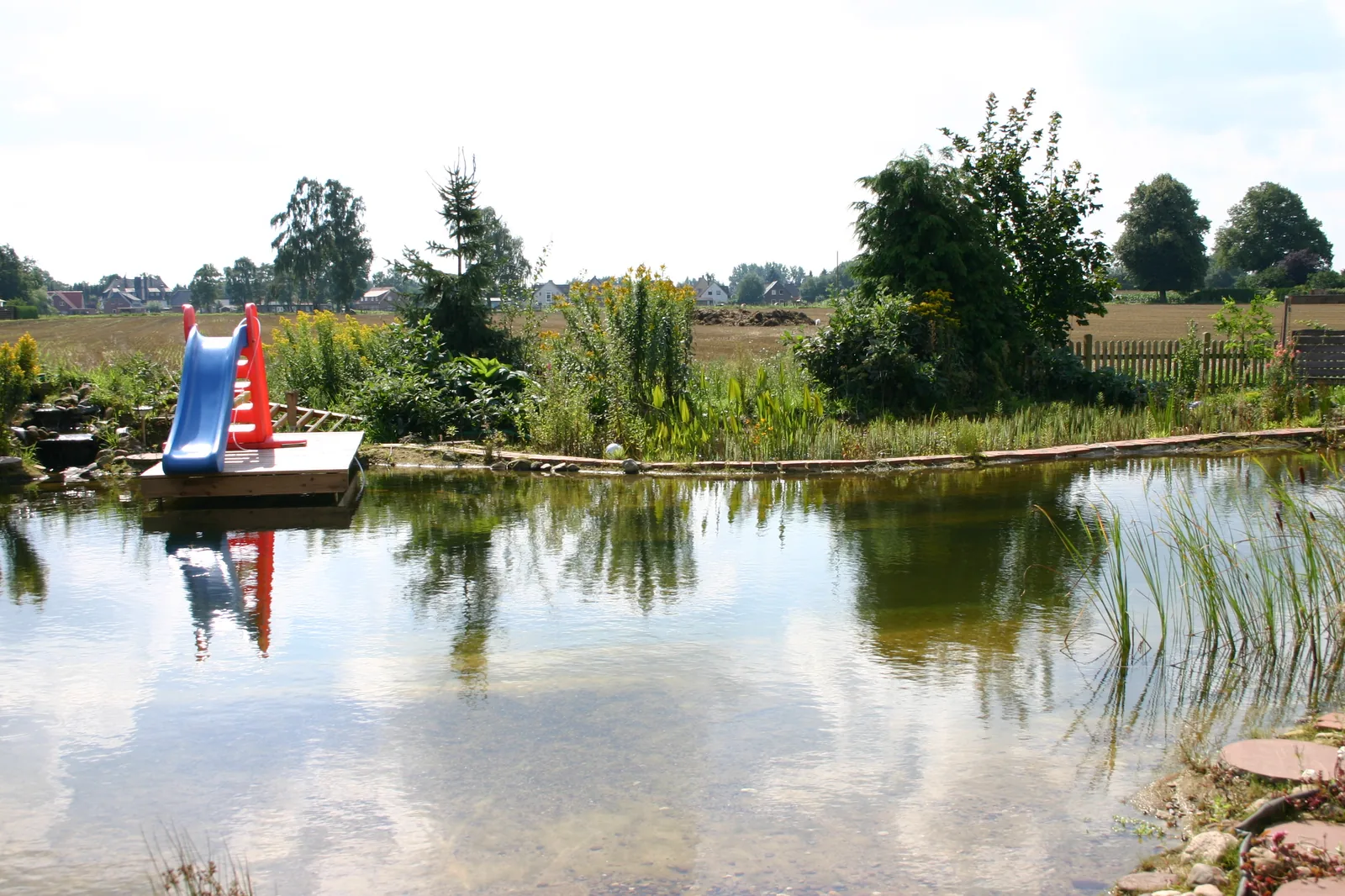 Natural eco swimming pond with reed filtration area and small water slide in summer