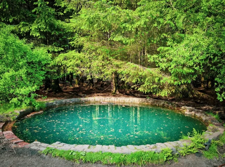 Natural Swimming Pools: What They Cost, How They Work and Where to Find Them in the UK
