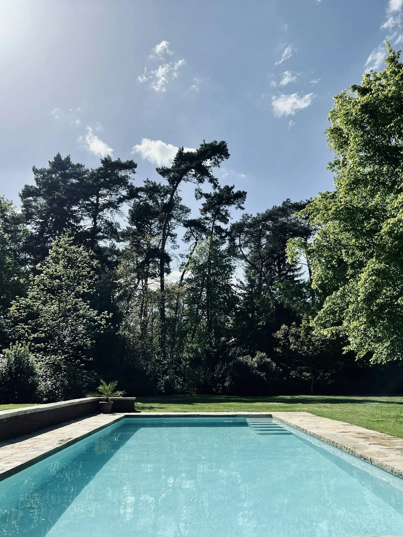 A residential garden swimming pool surrounded by mature trees on a sunny day