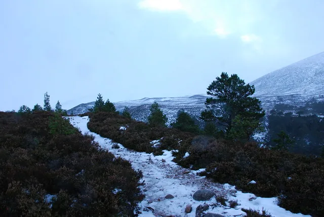 Snow-covered path through the Cairngorms near Lairig Ghru, showing challenging mountain terrain
