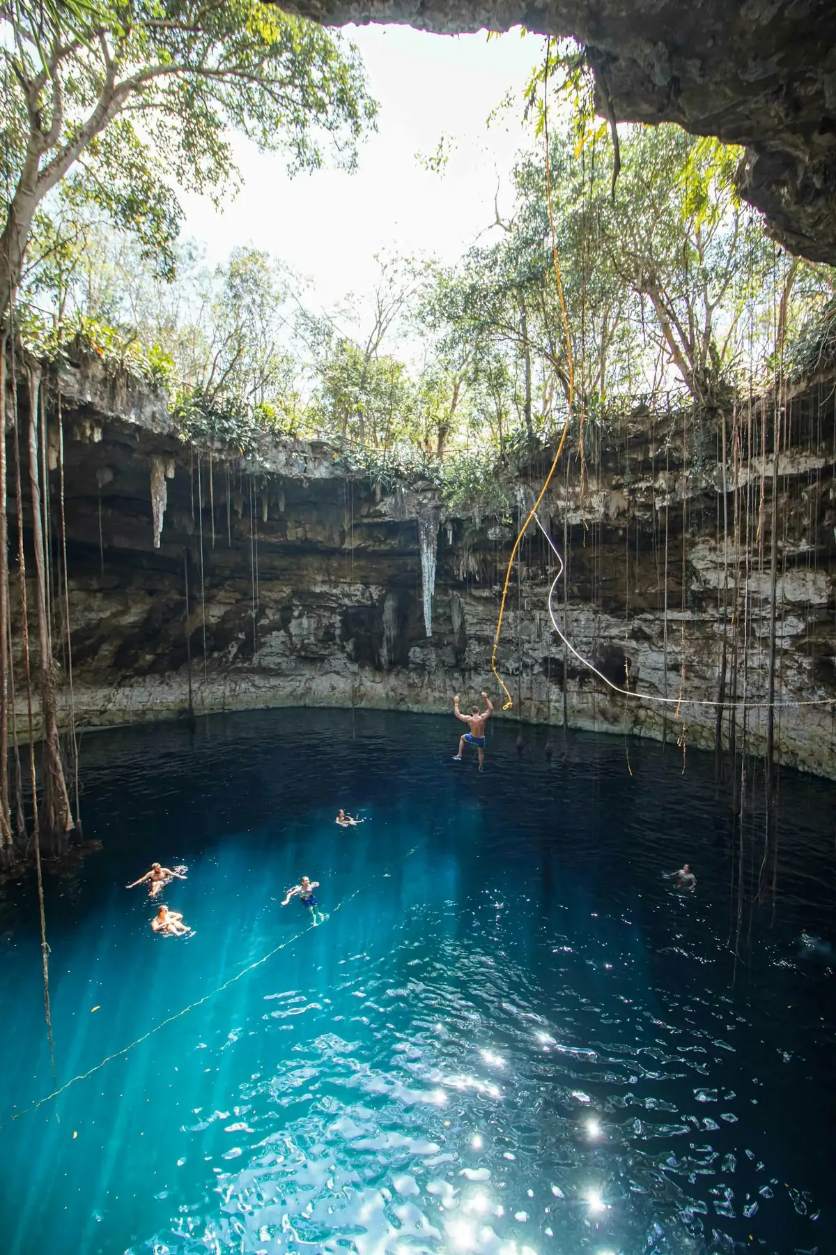 A natural cenote swimming pool with turquoise freshwater surrounded by limestone walls and tropical vines in Mexico representing the natural pool cenotes of the Yucatan Peninsula