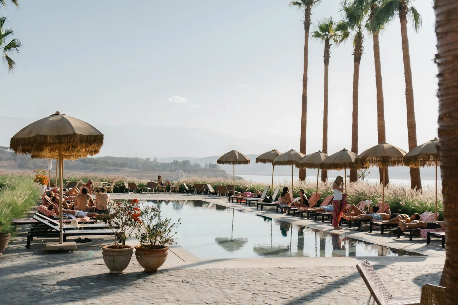 A luxury outdoor hotel swimming pool with sun loungers and palm trees in a southern European setting representing hotel pools in Seville Spain where temperatures reach 43 to 44 degrees Celsius in summer