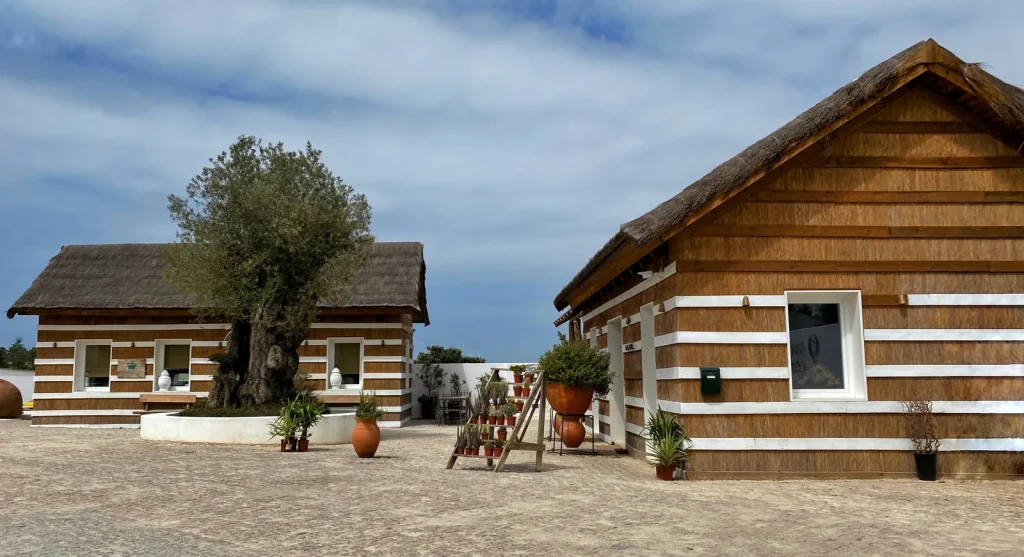 Quinta da Comporta wellness boutique resort, Carvalhal – thatched cottages and olive trees