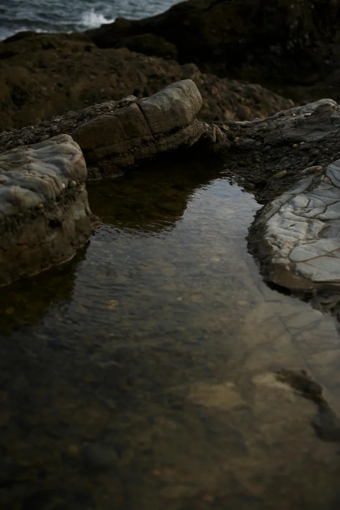 A natural rock pool on the Jurassic Coast in Dorset with clear water among limestone rock formations representing the rockpool habitats at Kimmeridge Bay and Lyme Regis on the Dorset coast