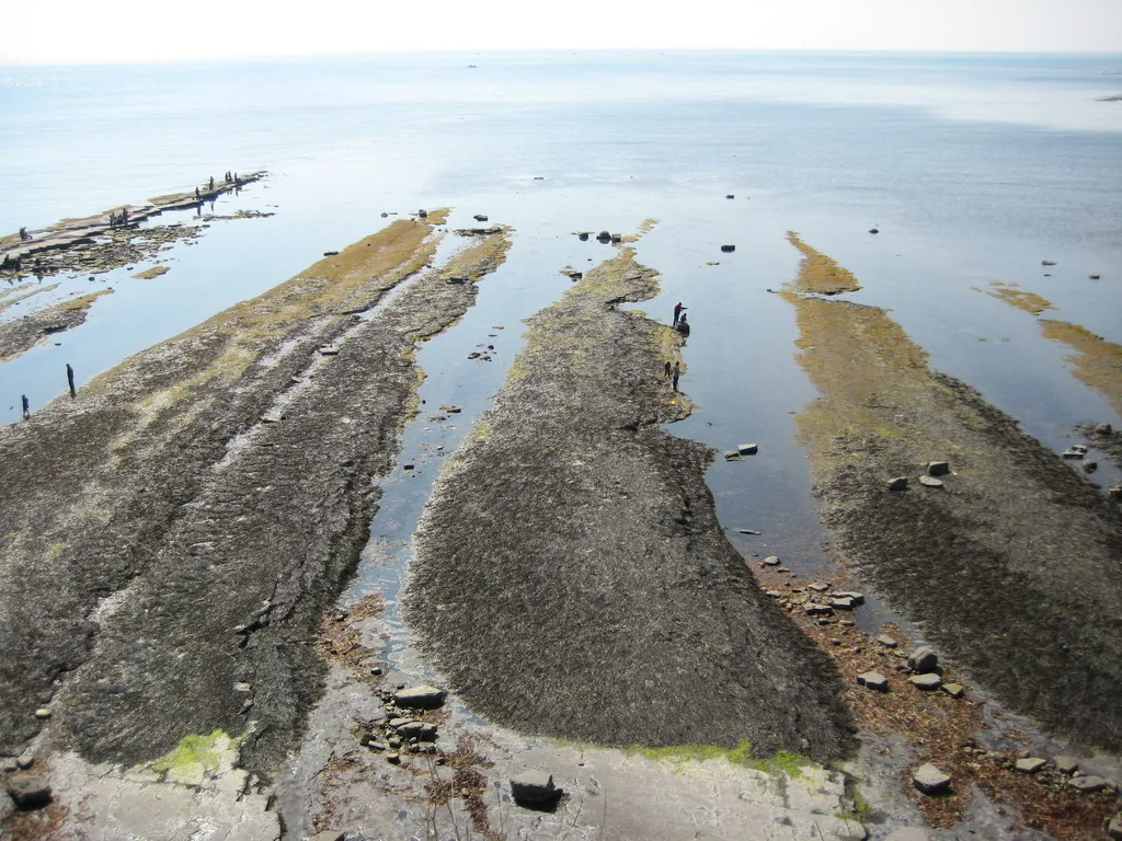 Aerial view of Kimmeridge Bay wave-cut ledge platforms exposed at low tide with visitors exploring