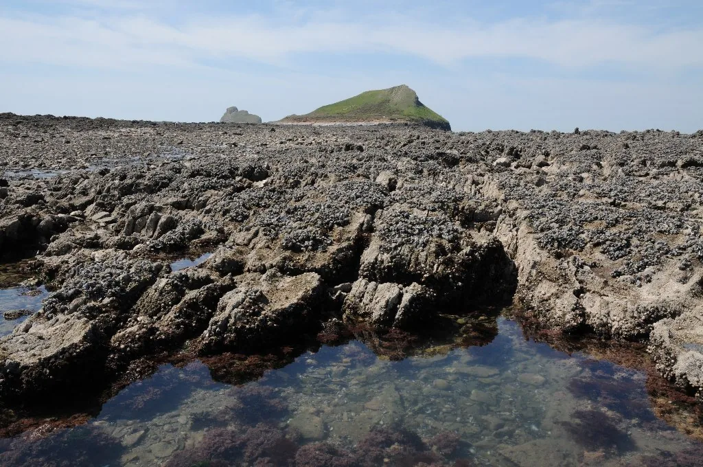 Exposed rocky shore with rock pools at low tide at Rhossili Bay, Gower, Wales