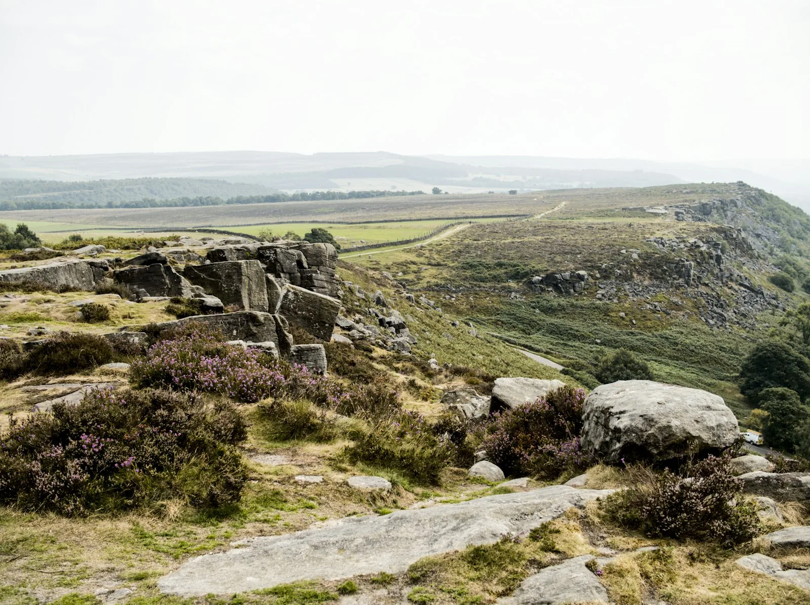 Granite moorland landscape with heather and rocky outcrops under an overcast sky, representing Dartmoor National Park — the upland catchment that feeds the River Dart and Sharrah Pool