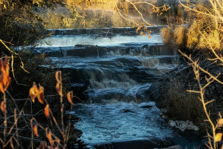 Sharrah Pool, Dartmoor: Wild Swimming Guide to the River Dart