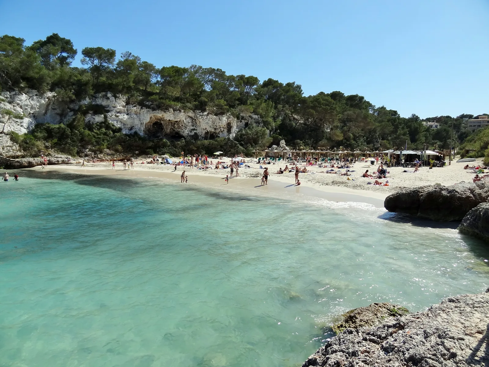 Cala Llombards turquoise cove in Santanyí, Mallorca, with clear water, white limestone cliffs and pine trees