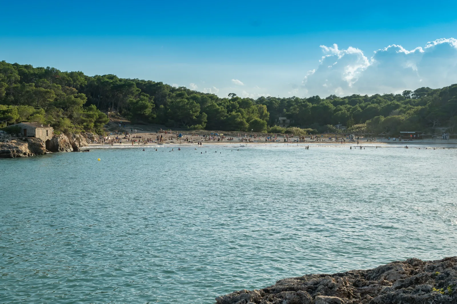 The calm turquoise bay of Cala S'Amarador in Mallorca, Spain, surrounded by pine forest, representing the Balearic Islands holiday destination