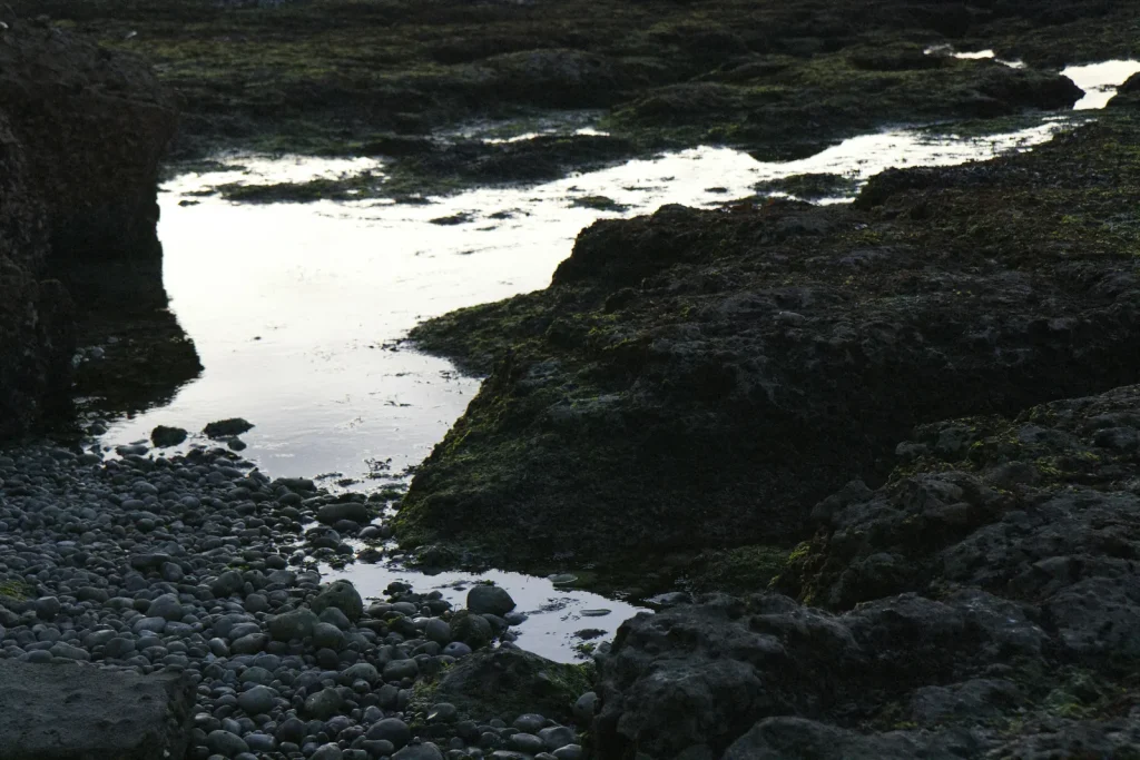 Tide pools on a rocky coastline at dusk reflecting still water between dark moss-covered rocks