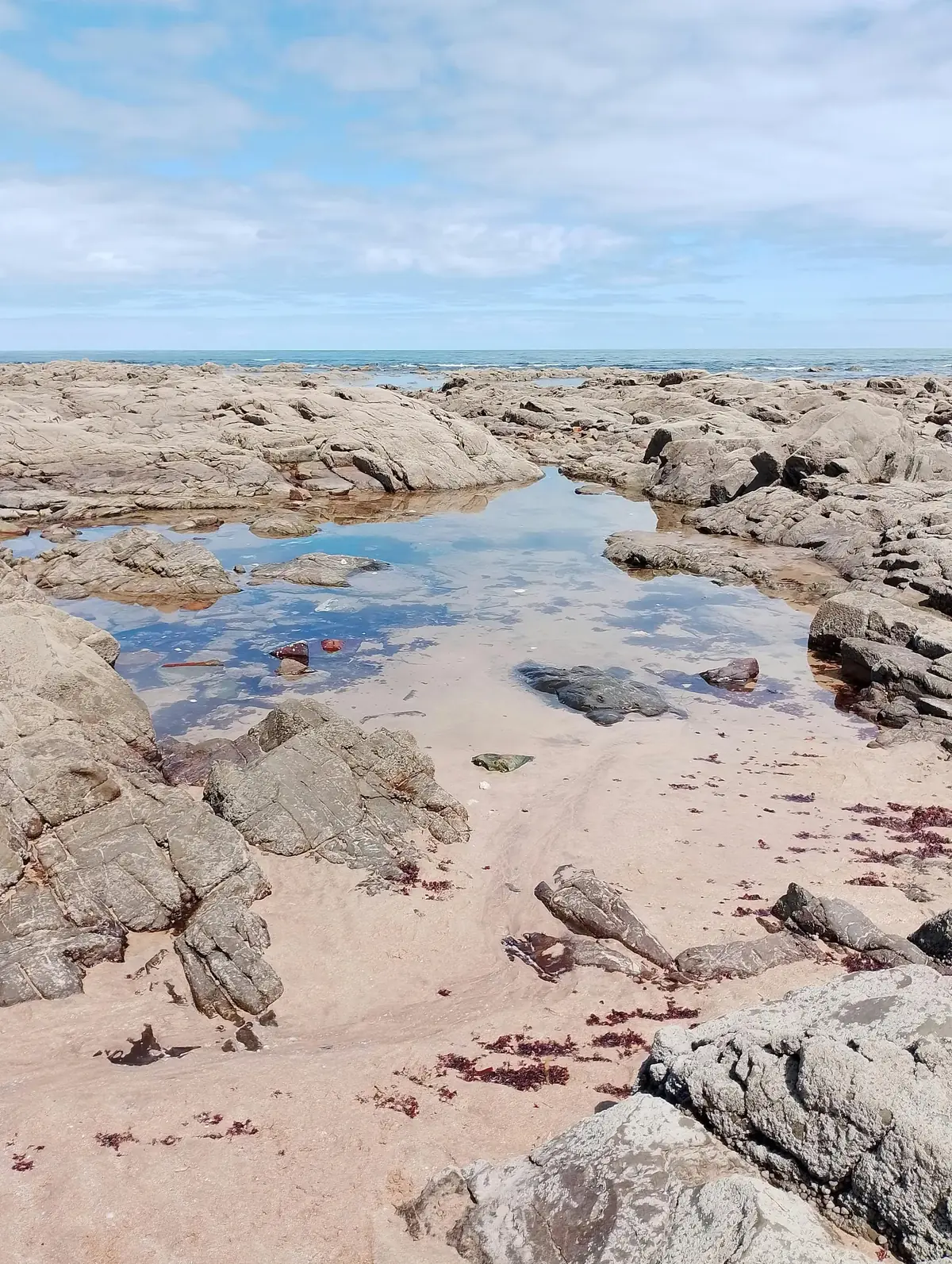 A natural coastal rock pool at low tide surrounded by grey rocks and sand with red seaweed visible, reflecting the sky above