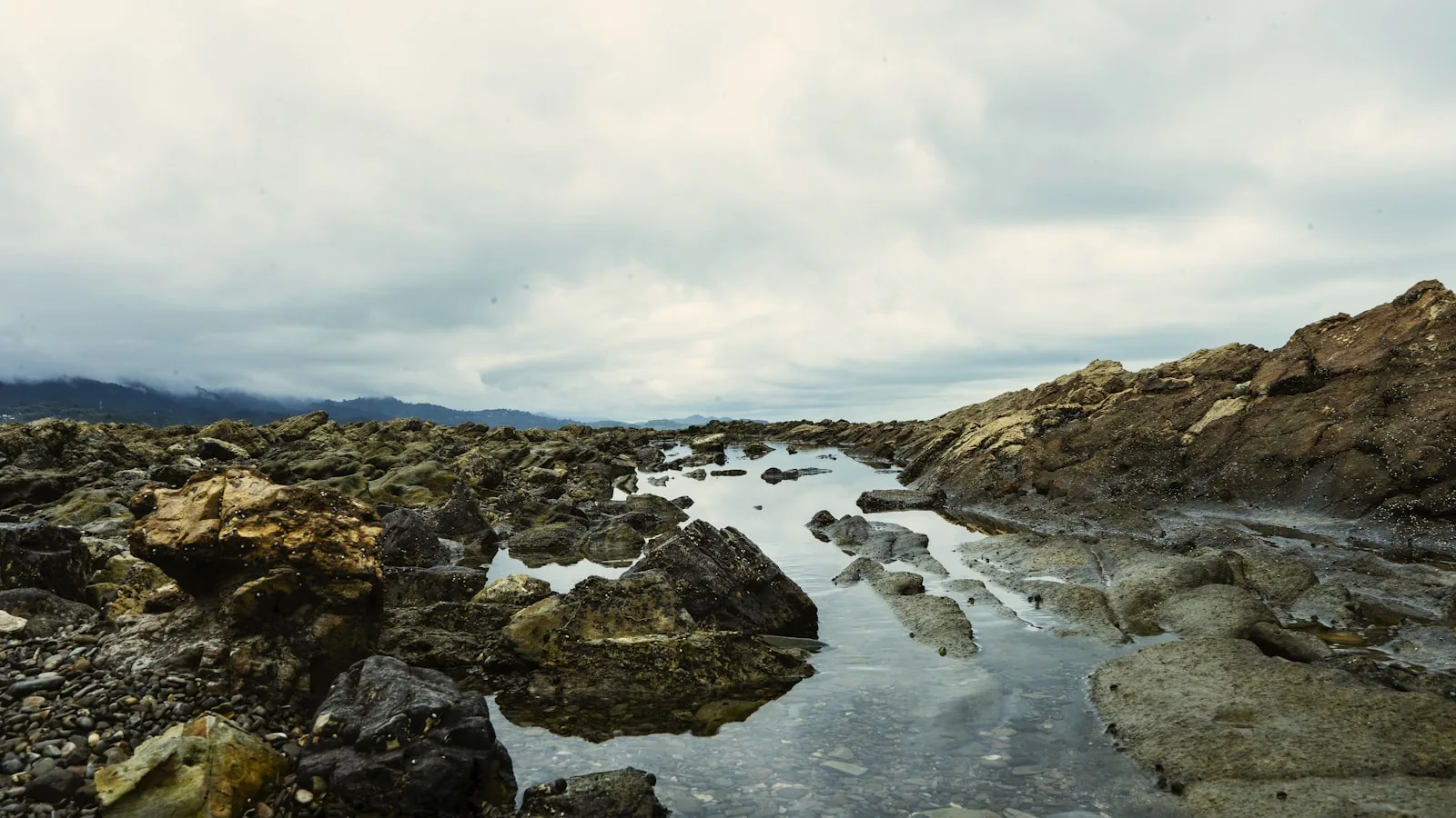 A rocky intertidal shore at low tide showing layers of tide pools and rock pools exposed along a UK coastline