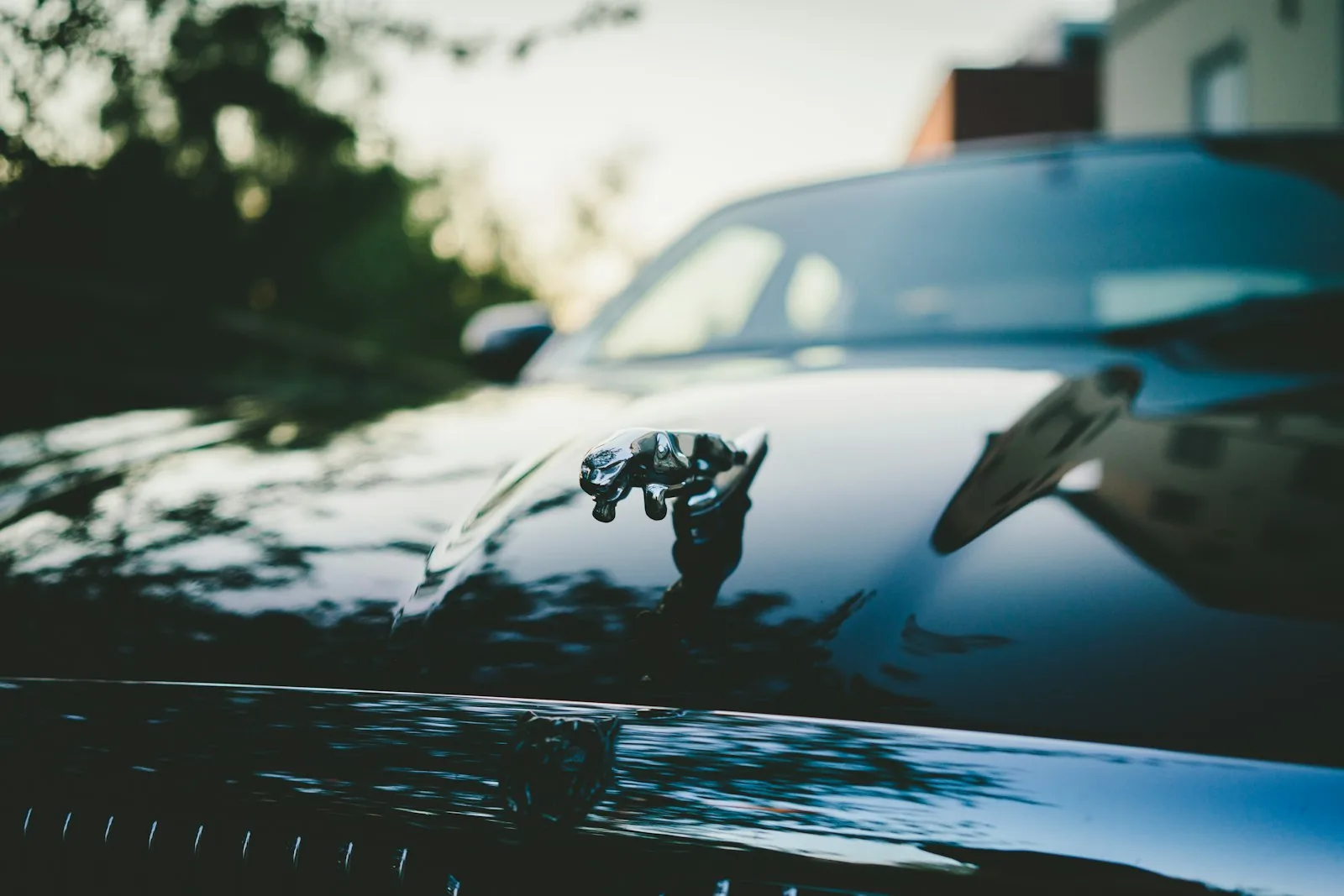 Close-up of the Jaguar leaping cat hood ornament on a polished black Jaguar car, representing the luxury sports cars purchased by Viv and Keith Nicholson after winning £152,319 on the football pools in 1961