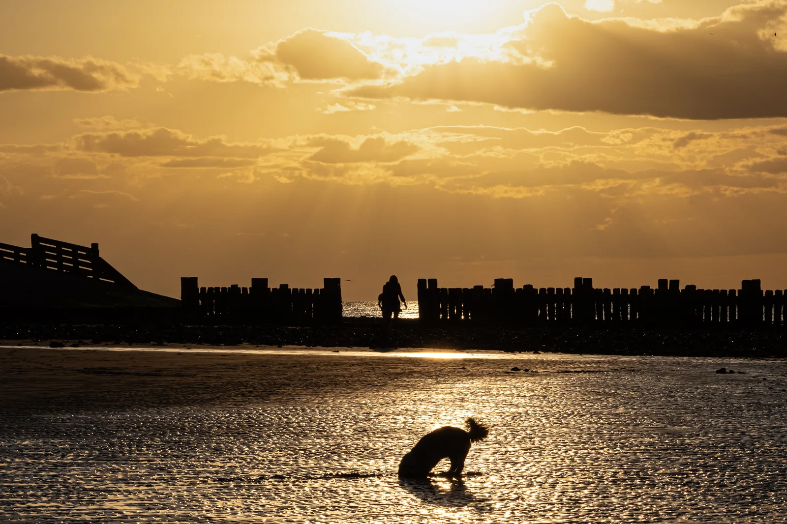 A child exploring chalk rock pools at West Runton beach at low tide on the North Norfolk coast, with sunset light reflecting on the water
